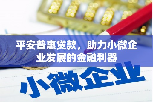 习水平安普惠贷款，助力小微企业发展的金融利器
