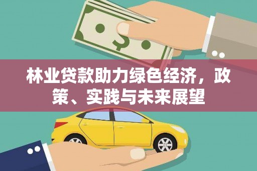 习水林业贷款助力绿色经济，政策、实践与未来展望