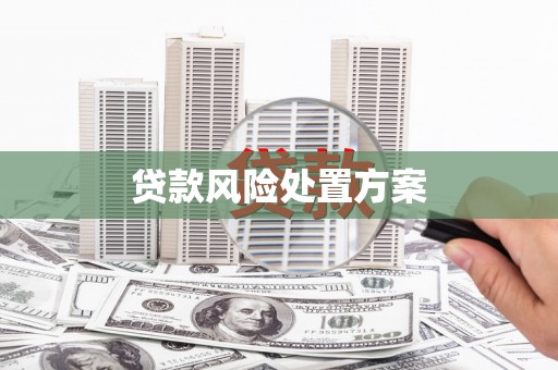 习水贷款风险处置方案