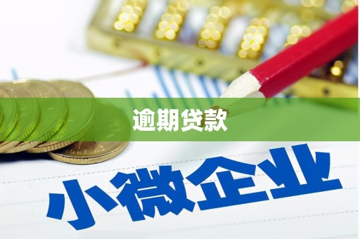 习水逾期贷款