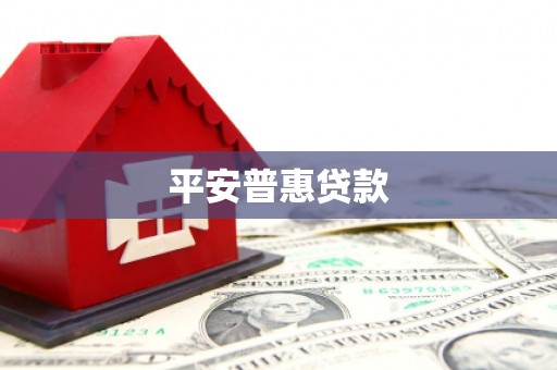 习水平安普惠贷款